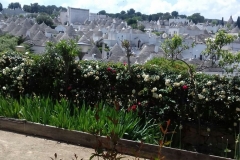 alberobello4